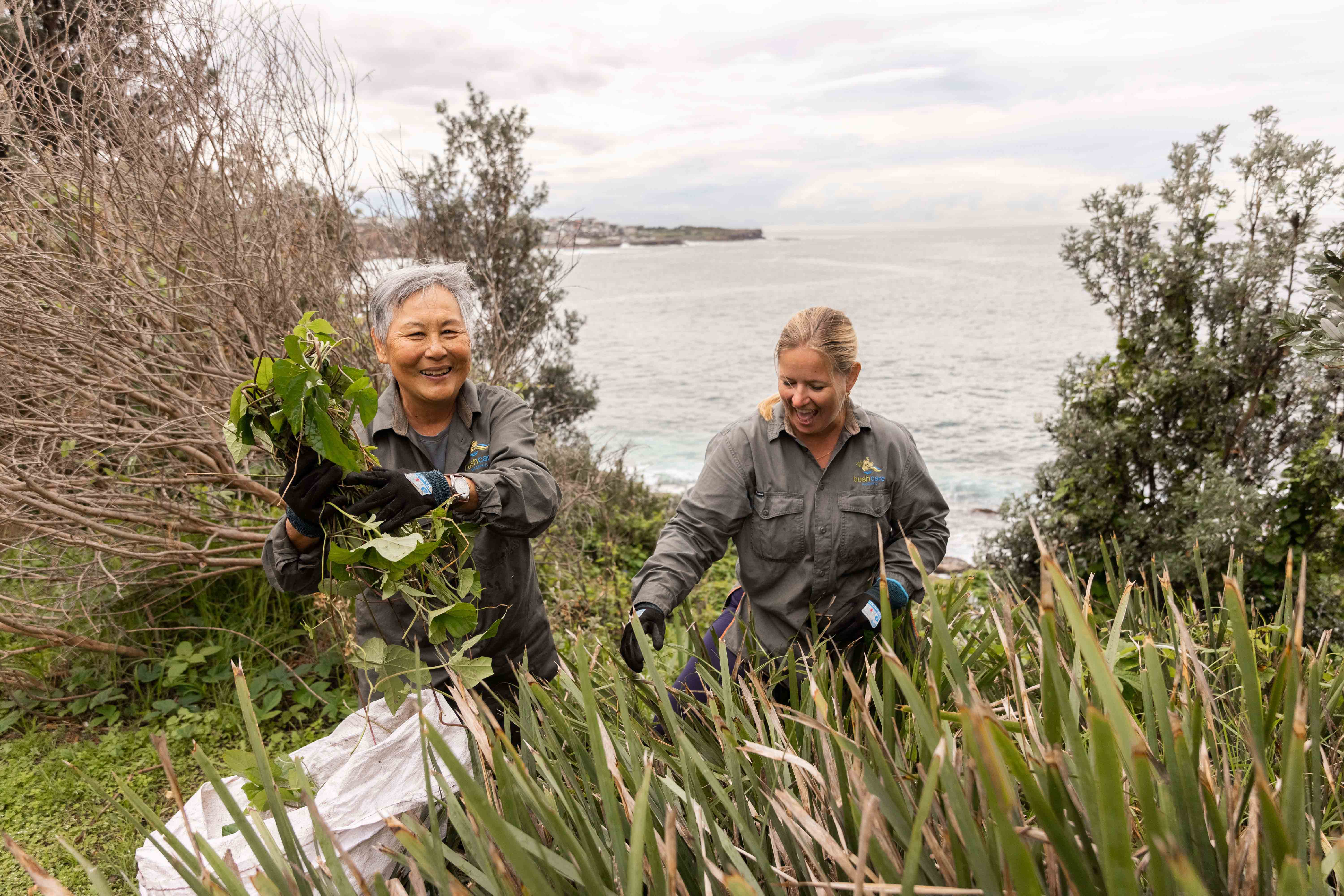 Two women weeding in Coogee.
