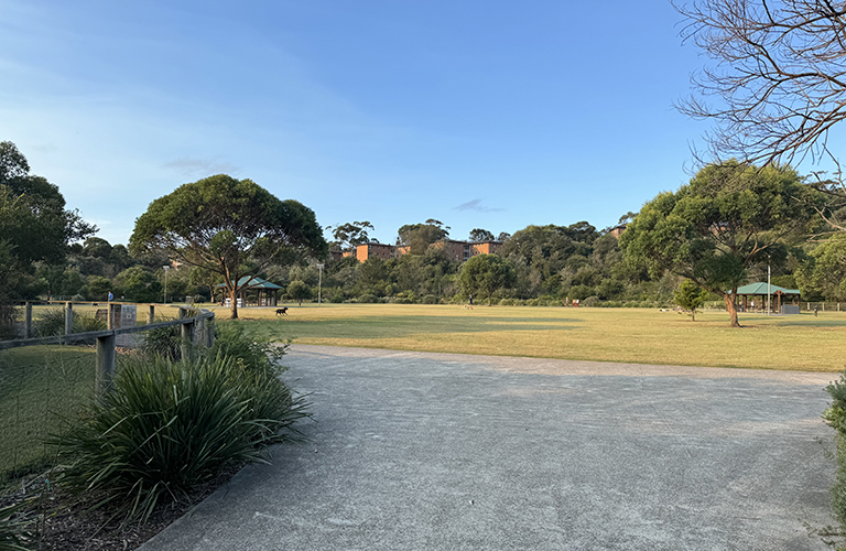 An image of grassy and concrete area with barbecue and picnic areas