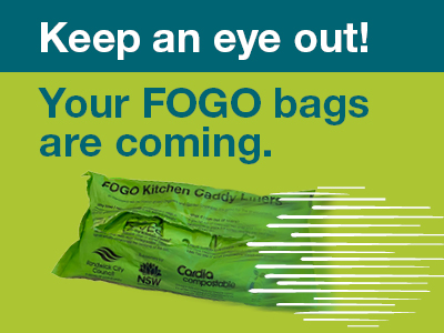 Image of FOGO bags