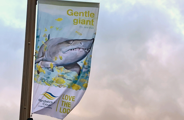 Image of a street banner with artwork of a grey nurse shark